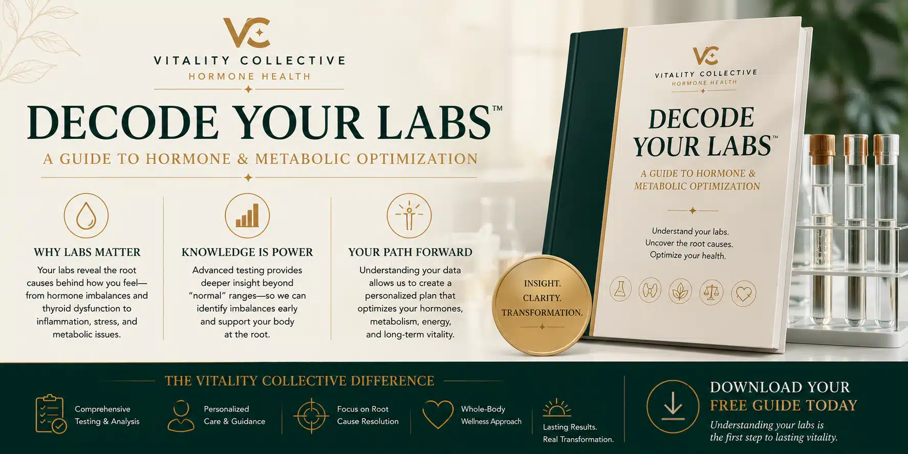 Decode Your Labs Guide